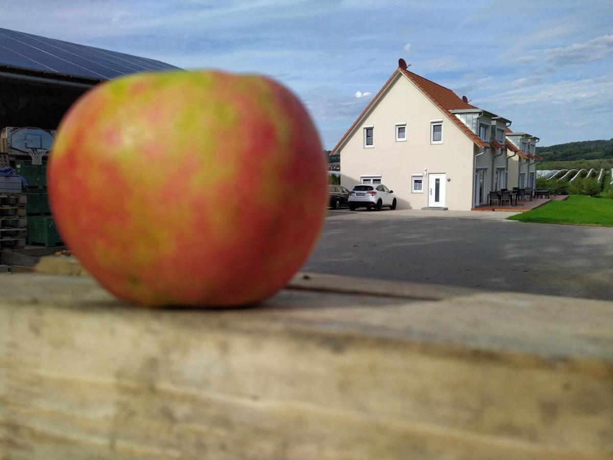 Ferienhof Dachsberg Wohnung Sundowner Bermatingen Kültér fotó